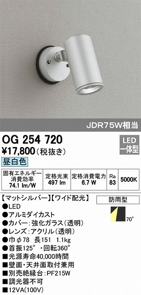 OG254720 オーデリック 屋外用スポットライト LED（昼白色）
