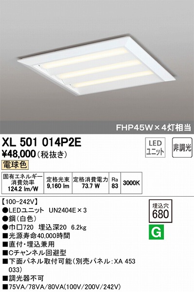 XL501014P2E I[fbN XNGAx[XCg LEDidFj