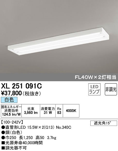 XL251091C I[fbN x[XCg LEDiFj