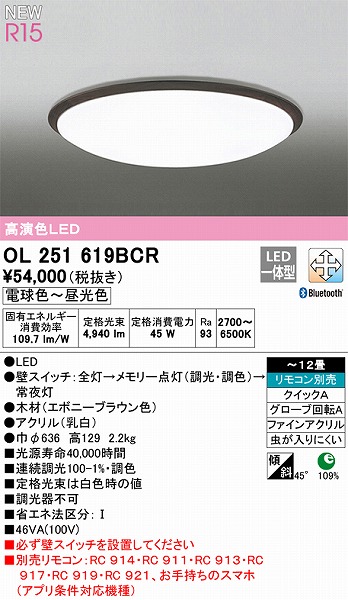 OL251619BCR I[fbN V[OCg uE FLED F  Bluetooth `12