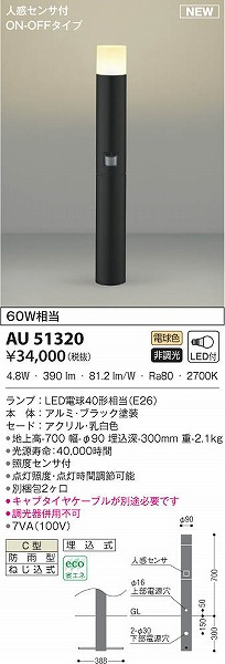 AU51320 RCY~ K[fCg ubN LEDidFj ZT[t