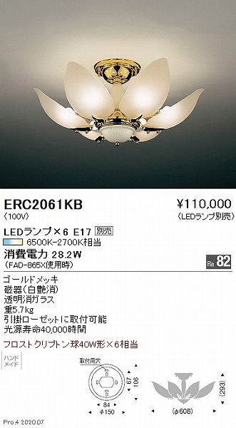 ERC2061KB Ɩ VfA  6 vʔ