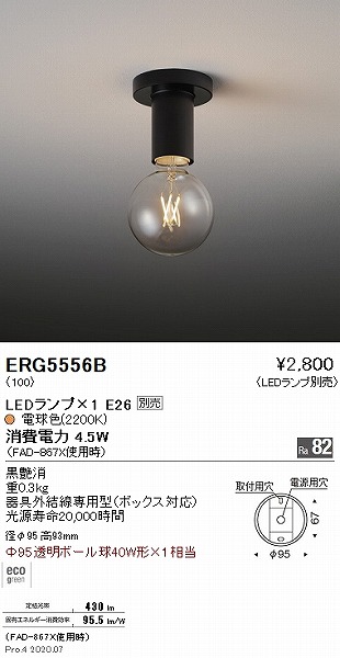ERG5556B Ɩ V[OCg  vʔ