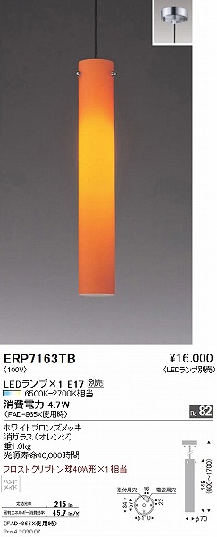 ERP7163TB Ɩ y_gCg IW vʔ