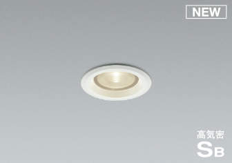 AD52733 RCY~ CSB_ECg zCg 50 LED(F) p