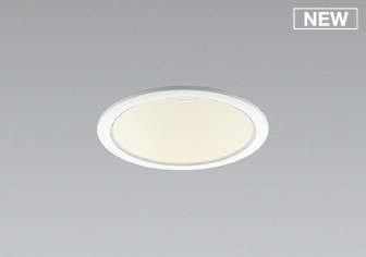 AD53000 RCY~ _ECg 100 LED(dF) gU