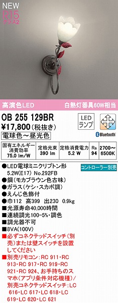 OB255129BR I[fbN uPbgCg LED F  Bluetooth
