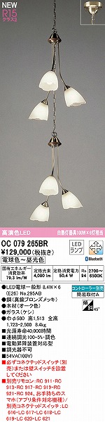 OC079265BR I[fbN py_gCg 6 LED F  Bluetooth