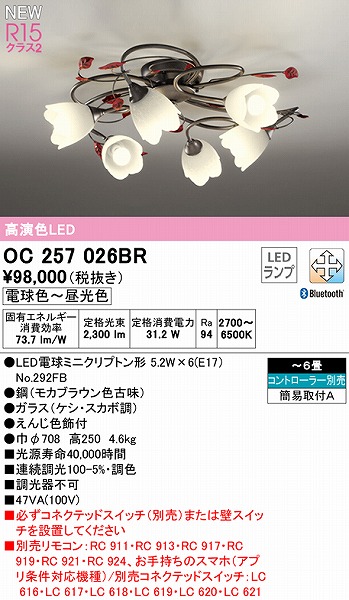 OC257026BR I[fbN VfA 6 LED F  Bluetooth `6