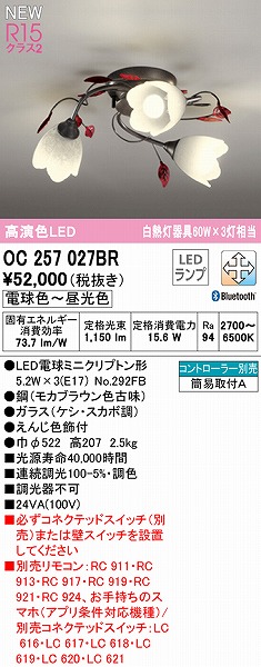 OC257027BR I[fbN ^VfA 3 LED F  Bluetooth