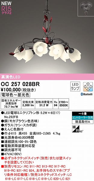 OC257028BR I[fbN VfA 6 LED F  Bluetooth `6