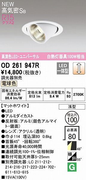 OD261947R I[fbN jo[T_ECg zCg 100 LED dF  Lp