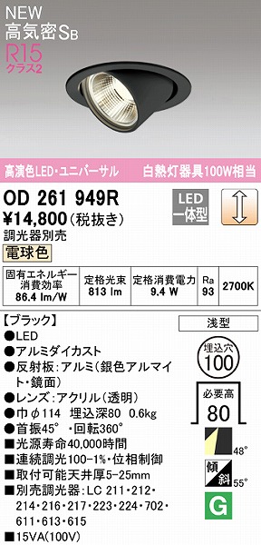 OD261949R I[fbN jo[T_ECg ubN 100 LED dF  Lp