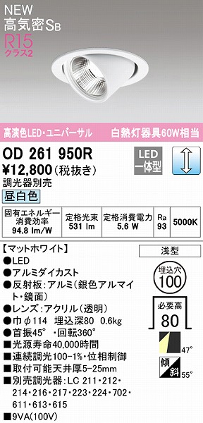 OD261950R I[fbN jo[T_ECg zCg 100 LED F  Lp