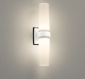 OG254893LR オーデリック 浴室灯 シルバー LED（電球色）