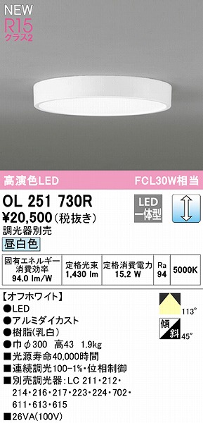 OL251730R I[fbN ^V[OCg zCg 300 LED F 