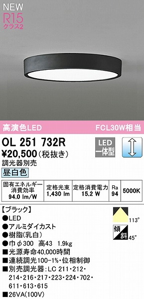 OL251732R I[fbN ^V[OCg ubN 300 LED F 