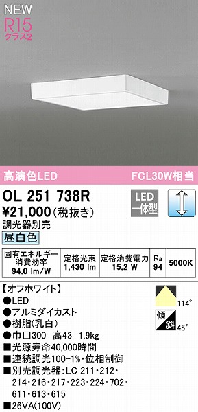 OL251738R I[fbN ^V[OCg zCg 300 LED F 