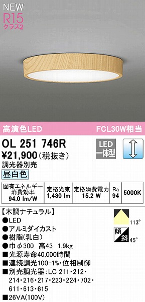 OL251746R I[fbN ^V[OCg i` 300 LED F 