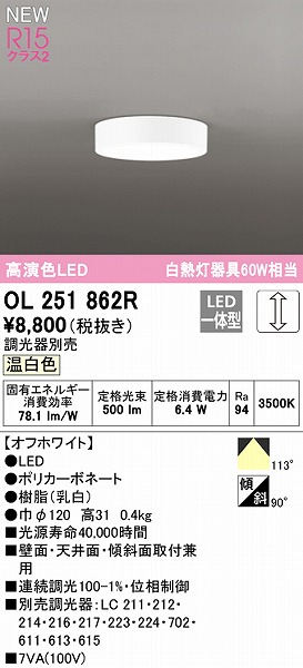 OL251862R I[fbN ^V[OCg LED F 