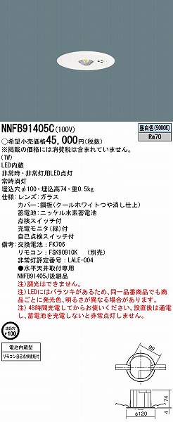 NNFB91405C pi\jbN pƖ fM/Չ{Hp Vp(`3m) 100 LEDiFj (NNFB91405J pi)