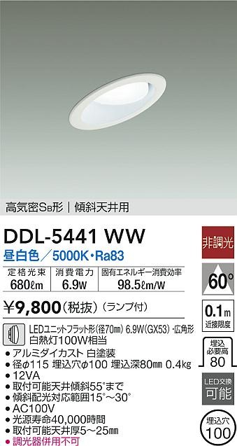 DDL-5441WW _CR[ XΓVp_ECg zCg 100 LED(F) Lp