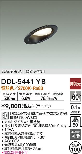 DDL-5441YB _CR[ XΓVp_ECg ubN 100 LED(dF) Lp