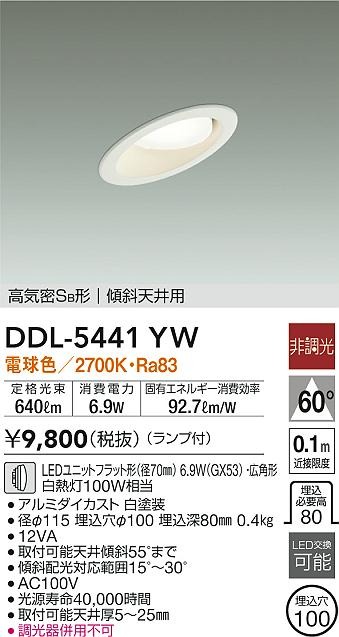 DDL-5441YW _CR[ XΓVp_ECg zCg 100 LED(dF) Lp