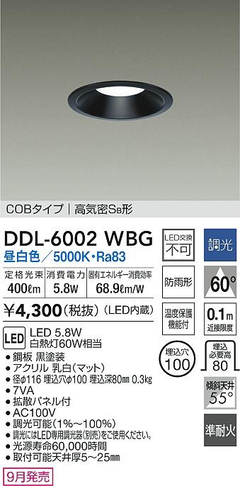 DDL-6002WBG _CR[ p_ECg ubN 100 LED F  gU