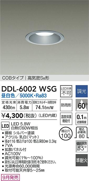 DDL-6002WSG _CR[ p_ECg Vo[ 100 LED F  gU