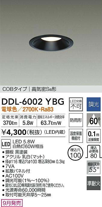 DDL-6002YBG _CR[ p_ECg ubN 100 LED dF  gU