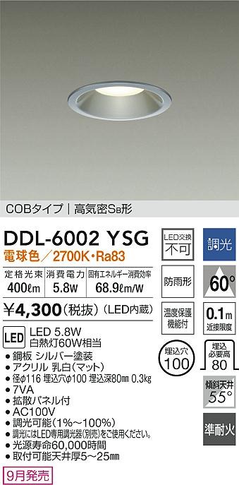 DDL-6002YSG _CR[ p_ECg Vo[ 100 LED dF  gU