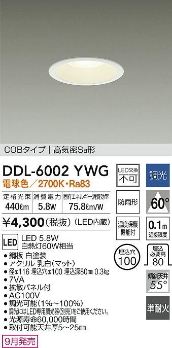 DDL-6002YWG _CR[ p_ECg zCg 100 LED dF  gU