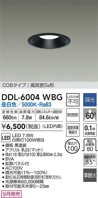 DDL-6004WBG _CR[ p_ECg ubN 100 LED F  gU