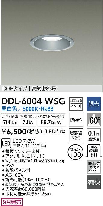 DDL-6004WSG _CR[ p_ECg Vo[ 100 LED F  gU