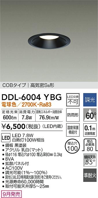 DDL-6004YBG _CR[ p_ECg ubN 100 LED dF  gU