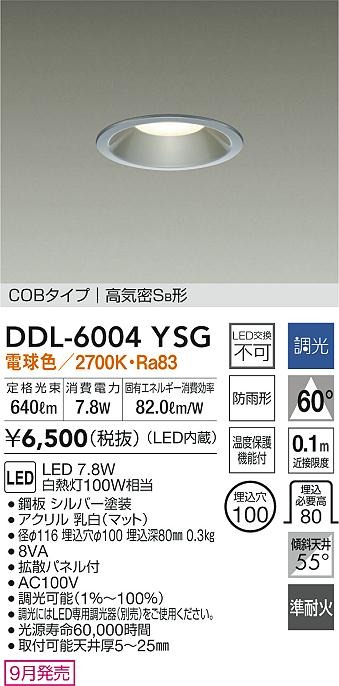 DDL-6004YSG _CR[ p_ECg Vo[ 100 LED dF  gU