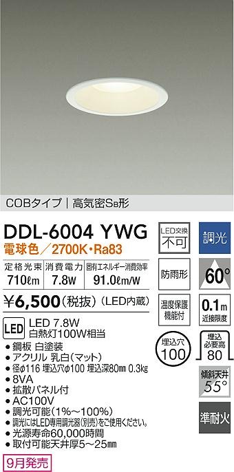 DDL-6004YWG _CR[ p_ECg zCg 100 LED dF  gU