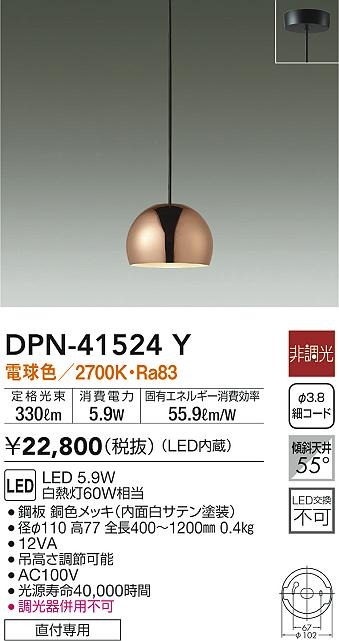 DPN-41524Y _CR[ y_gCg Jbp[ 110 LED(dF)