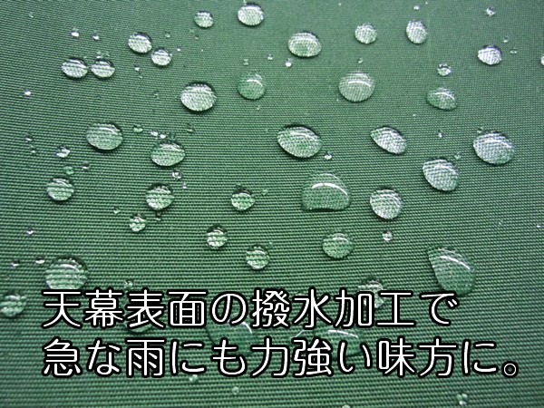 y[J[z TAN-1002-20(BE) J ƕtI[jO x[W 2m