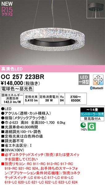 OC257223BR I[fbN y_g ubN 600 LED F  Bluetooth