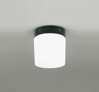 OW009333NR オーデリック 浴室灯 塩害地向け仕様 ブラック LED(昼白色)
