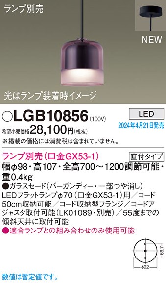 LGB10856 pi\jbN y_gCg p[v vʔ