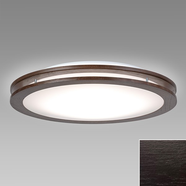 SLDC08828SG z^NX V[OCg _[NI[N LED F  `8
