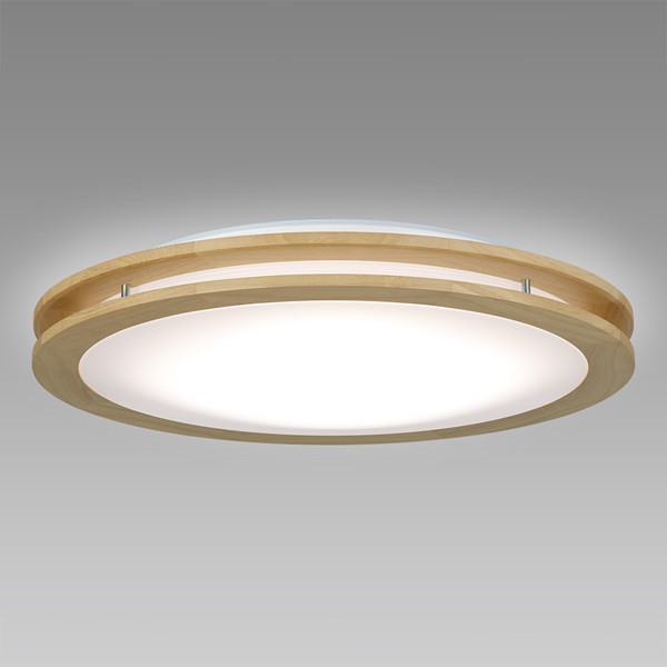SLDC08829SG z^NX V[OCg i`I[N LED F  `8