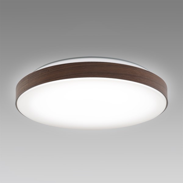 SLDC08823SG z^NX V[OCg rK[uE LED F  `8
