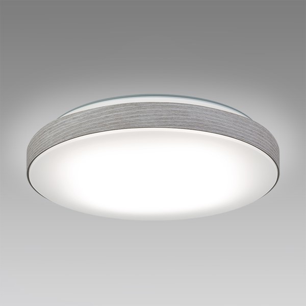 SLDC08824SG z^NX V[OCg X[L[zCg LED F  `8