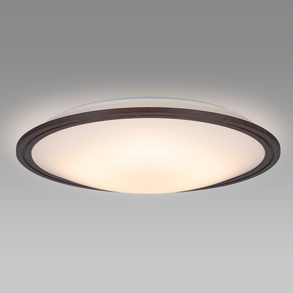 SLDZ08816LSG z^NX V[OCg _[NI[N LED dF i `8