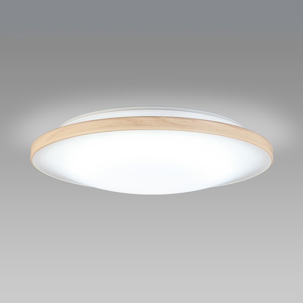 SLD230513N z^NX ^V[OCg i` LEDiFj