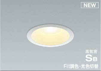 AD1296W99 RCY~ CSB_ECg zCg LED F  Bluetooth U